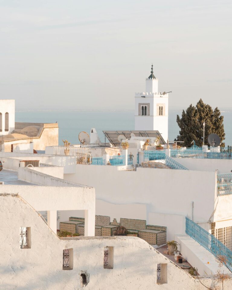 A stunning view of traditional white architecture in Carthage, showcasing Tunisian style and culture.